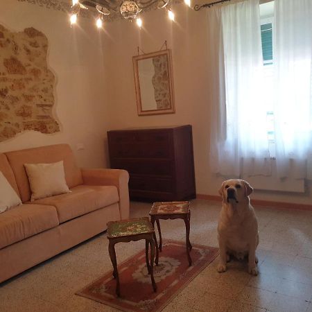 Casa Massa Daire Massa Marittima Dış mekan fotoğraf